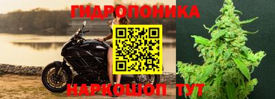 apvp Обь