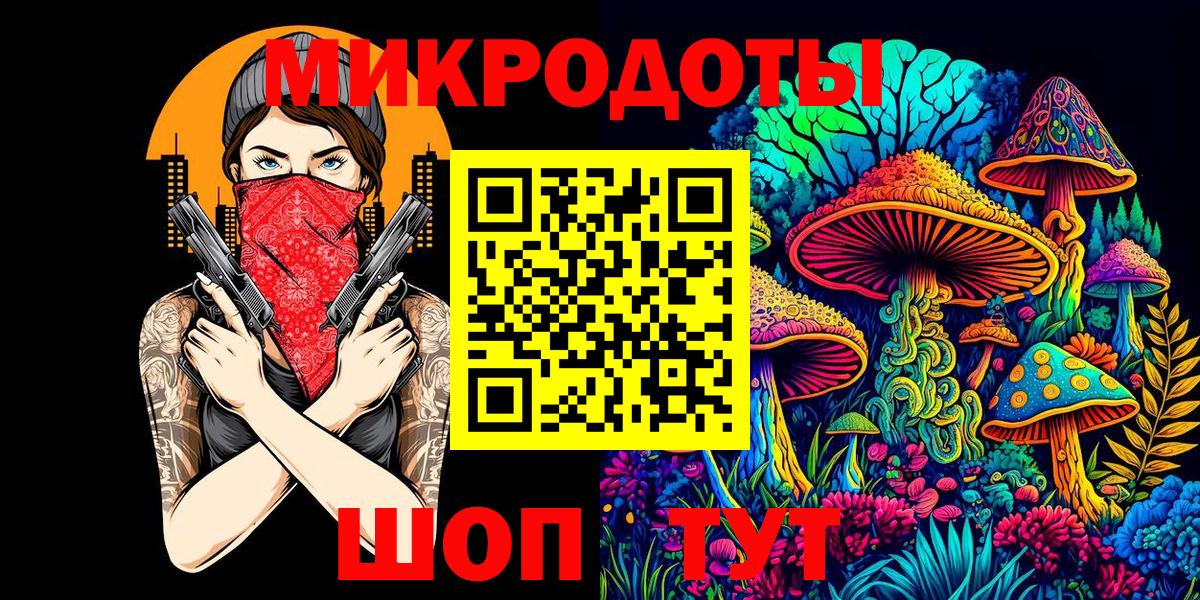 Галлюциногенные грибы Psilocybe Серпухов
