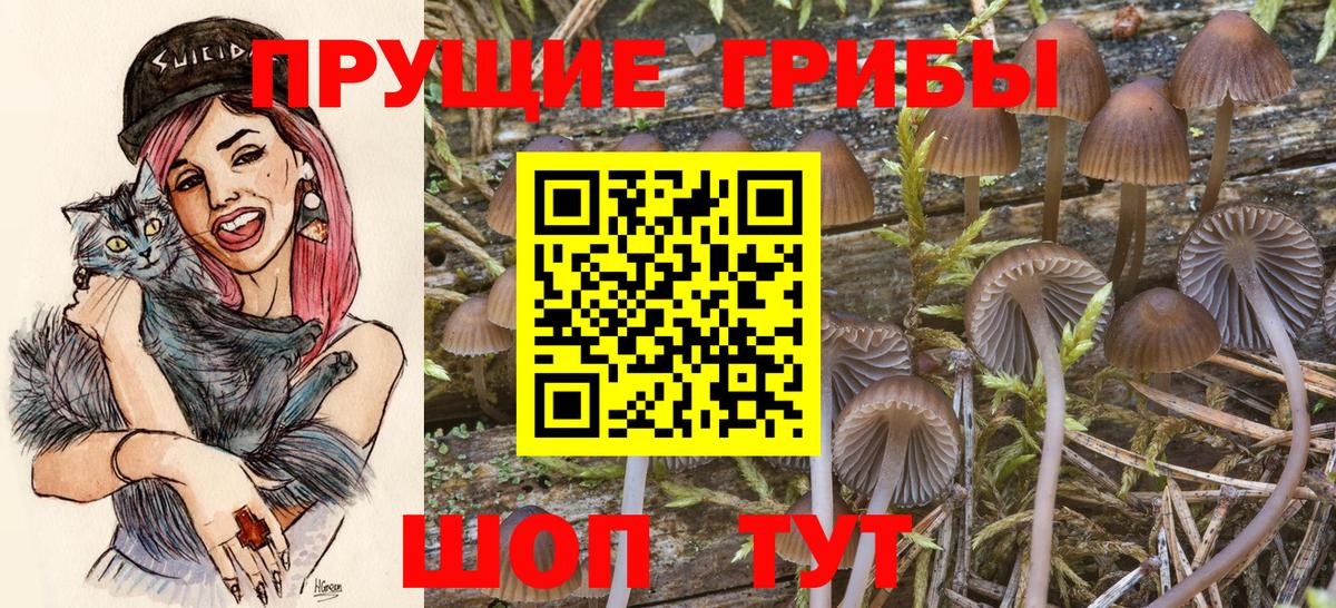 Серпухов  Галлюциногенные грибы MAGIC MUSHROOMS  Вход с VPN 